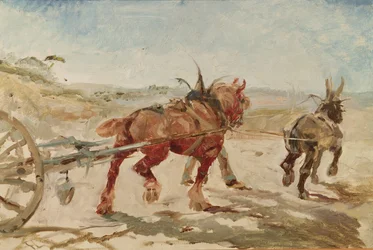 Team of horses in harness